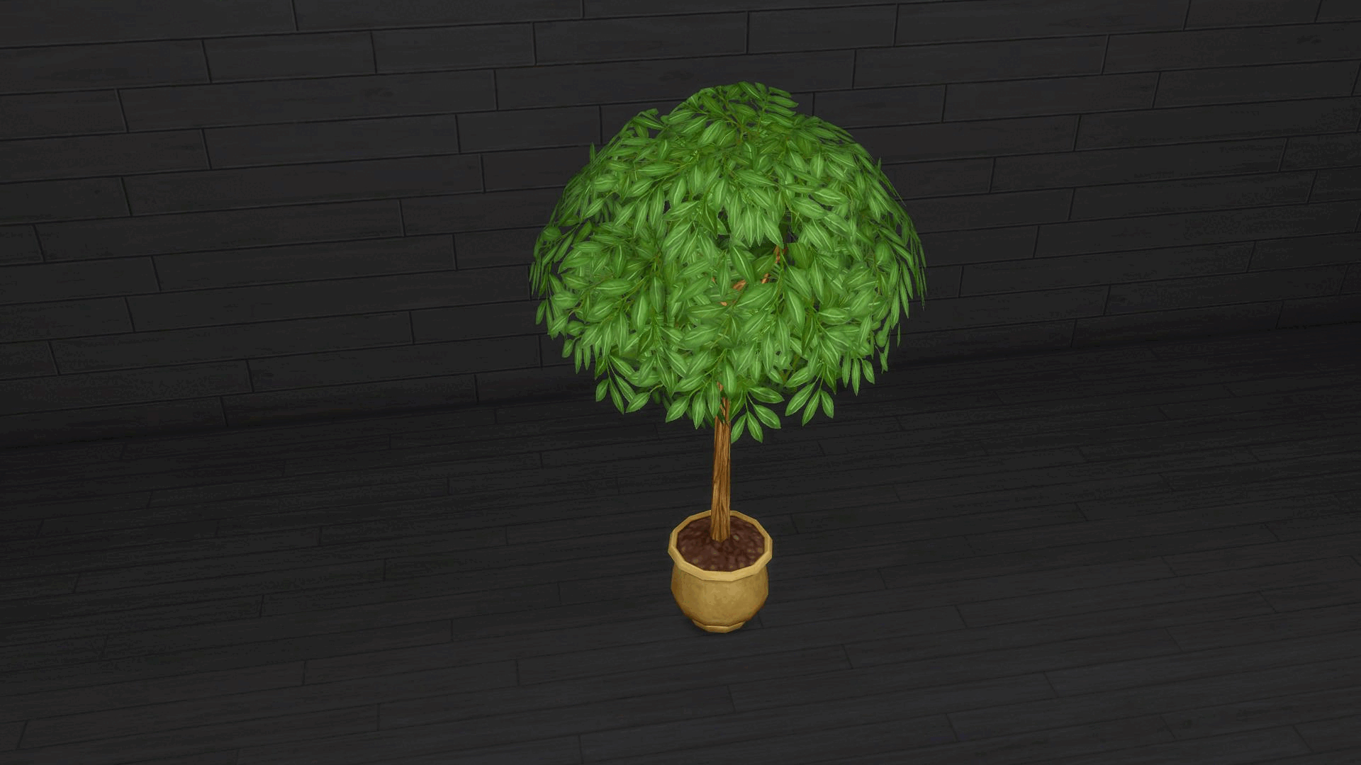 cherishedpatiotree12