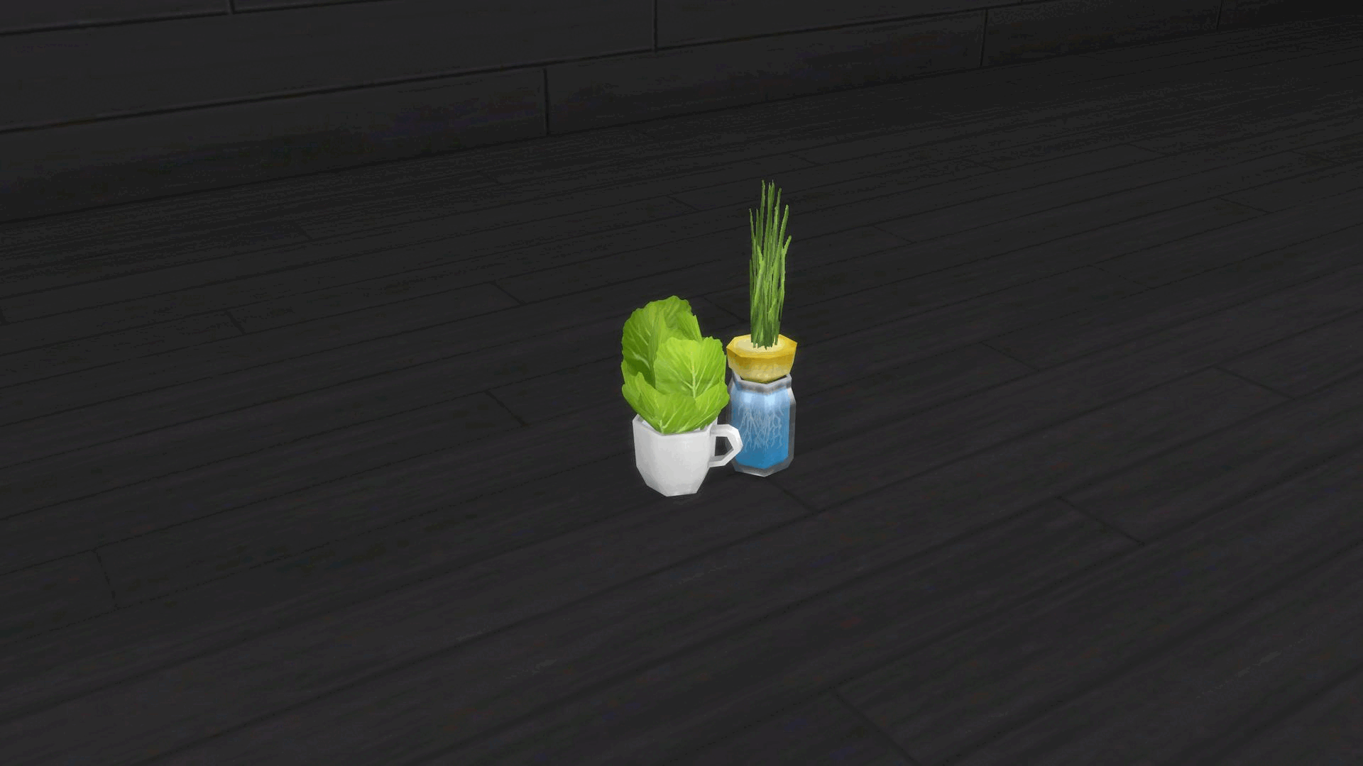 secondchancesprouts8