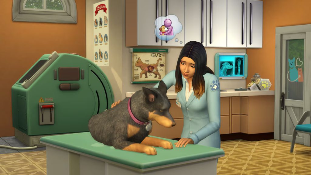 TS4 Cats and Dogs Media Hero Tile 16x9 03