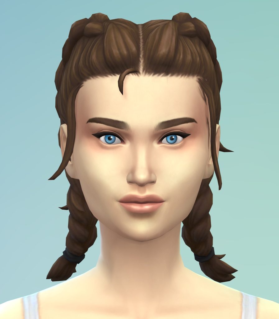 SIMS 4 Update New