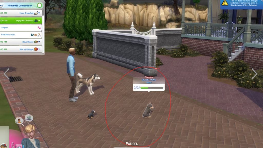 sims 4 quality assurance image