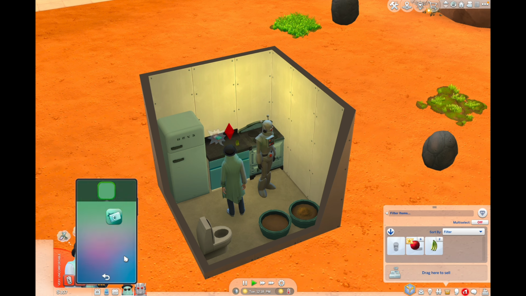 simsrot expandedhome2