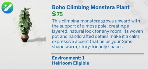 Taurus Boho Climbing Monstera Plant