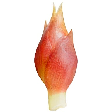 Tomodachi Life: Living The Dream Food and Drinks Overview 352 Food126