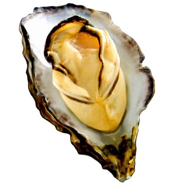 Tomodachi Life: Living The Dream Food and Drinks Overview 220 Food152 MISC Oyster