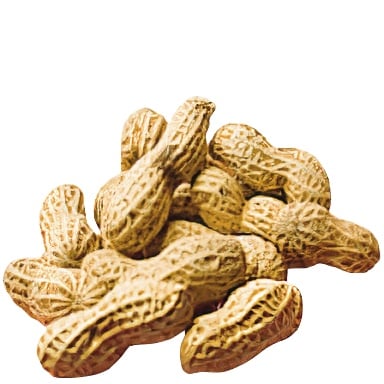 Tomodachi Life: Living The Dream Food and Drinks Overview 221 Food155 MISC Peanuts