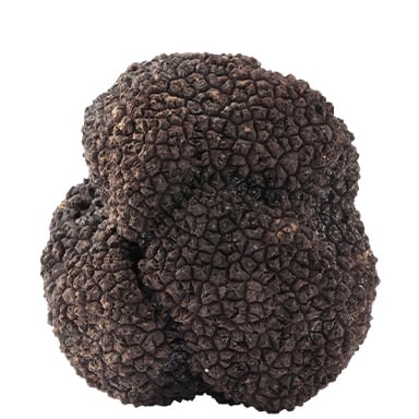 Tomodachi Life: Living The Dream Food and Drinks Overview 225 Food166