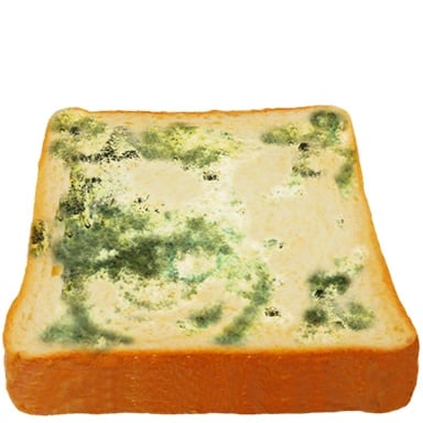 Tomodachi Life: Living The Dream Food and Drinks Overview 228 Food177 MOLD Bread