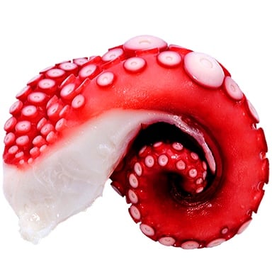 Tomodachi Life: Living The Dream Food and Drinks Overview 233 Food194 MISC Octopus