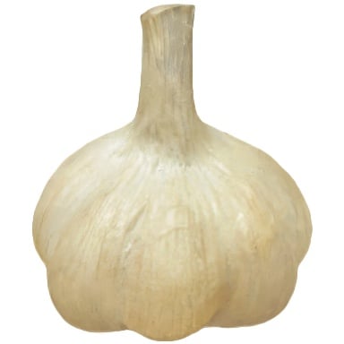 Tomodachi Life: Living The Dream Food and Drinks Overview 248 Food225 MISC Garlic