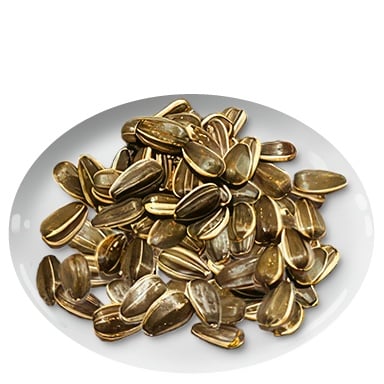 Tomodachi Life: Living The Dream Food and Drinks Overview 255 Food242 SNACKS SunflowerSeeds