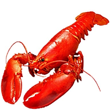 Tomodachi Life: Living The Dream Food and Drinks Overview 278 Food353 MISC Lobster