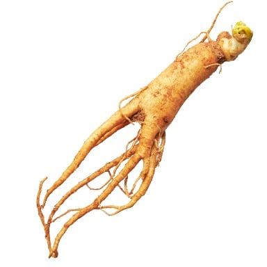 Tomodachi Life: Living The Dream Food and Drinks Overview 292 Food384