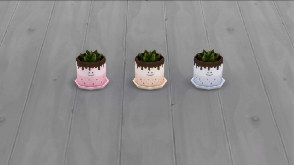 HYDRA Cake Shaped Succulent Pot Swatch