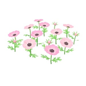 ObjFlowerAnemone
