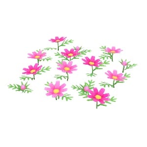 ObjFlowerCosmos