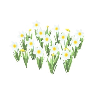 ObjFlowerNarcissus