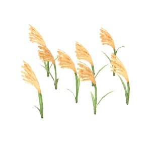 ObjFlowerPampasGrass