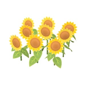 ObjFlowerSunflowers