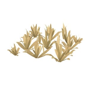 ObjWeed 01