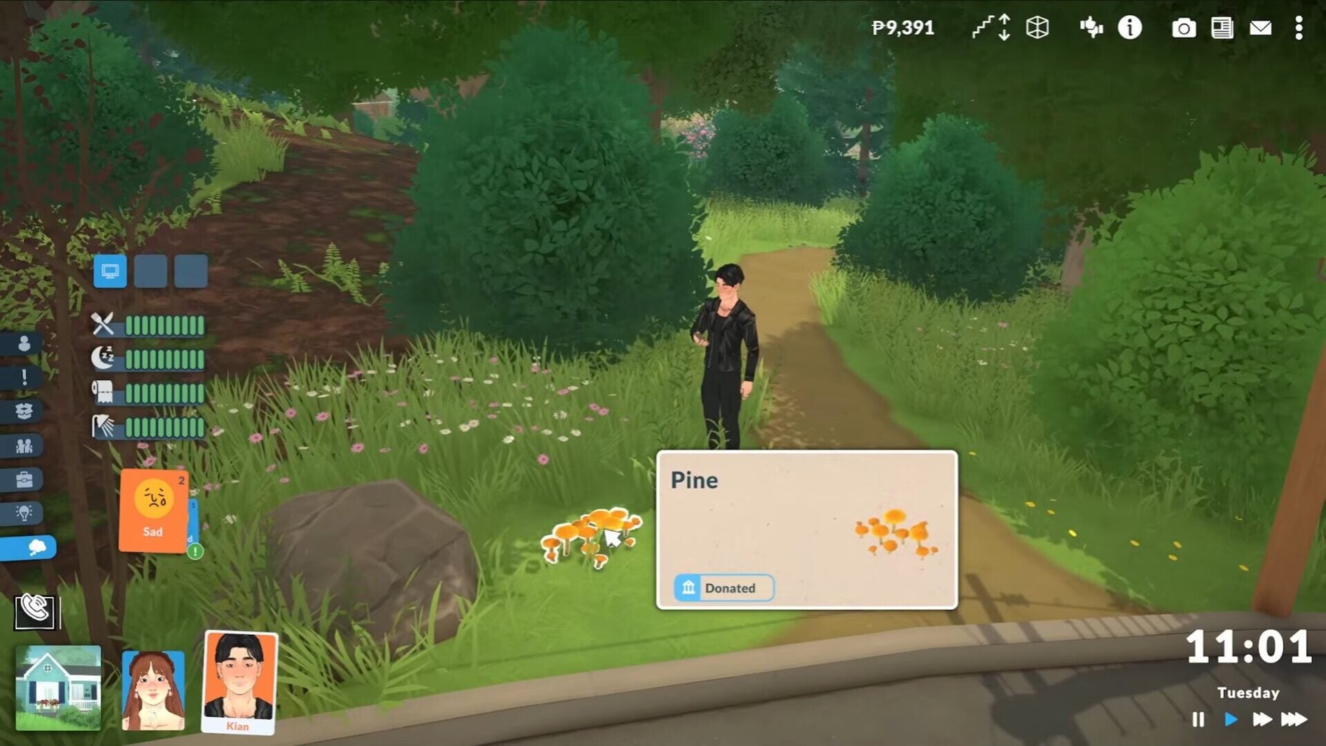 Paralives Gives A Tour of Museum Venue and Beneficial Features 2 Museum Venue