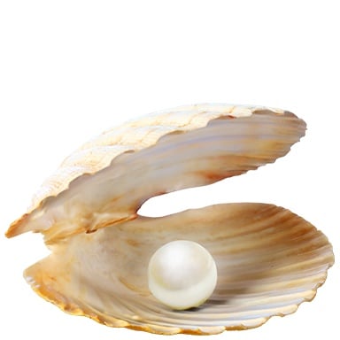 Treasure Pearl
