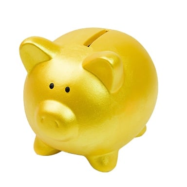 Treasure PigPiggyBank