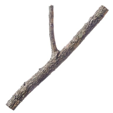 Treasure TreeBranch 1