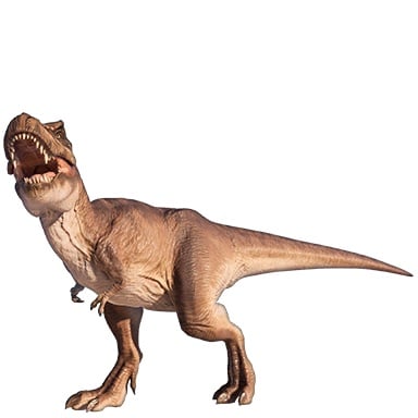 Treasure Tyrannosaurus