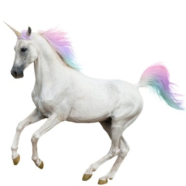 Treasure Unicorn