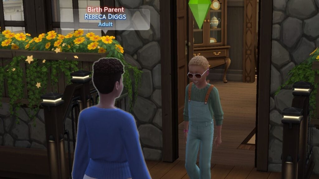 meeting birth parent