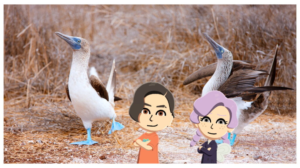 Two Miis stand in front of two blue-footed booby birds.