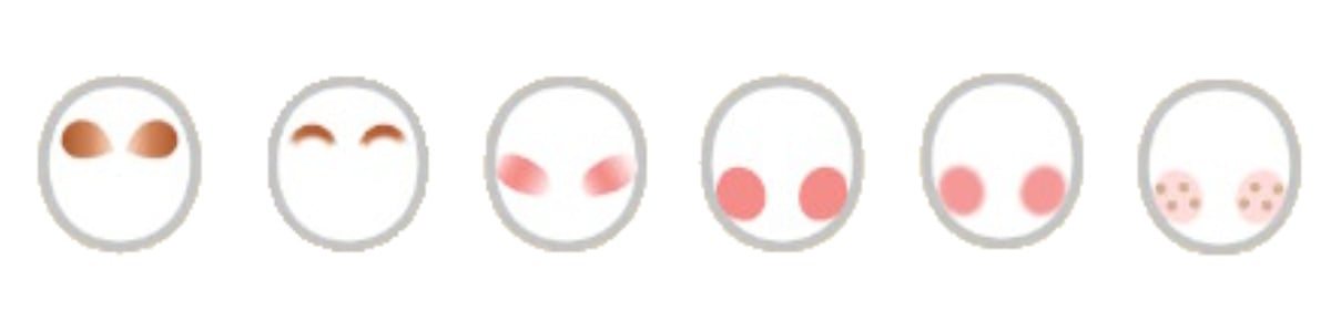 Mii Maker Comparison: From Miitopia to Tomodachi Life 16 Image of 6 new facial detail options for Tomodachi Life: Living the Dream
