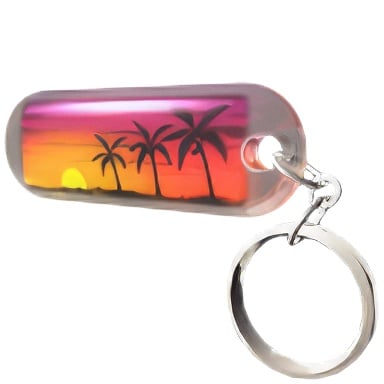 treasure hawaiikeychain