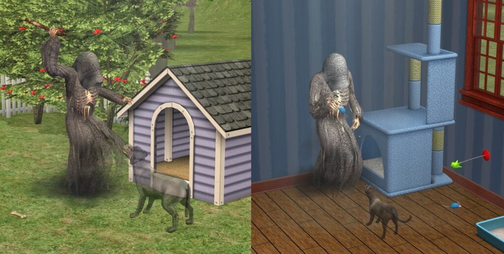 Death by Old Age for Pets