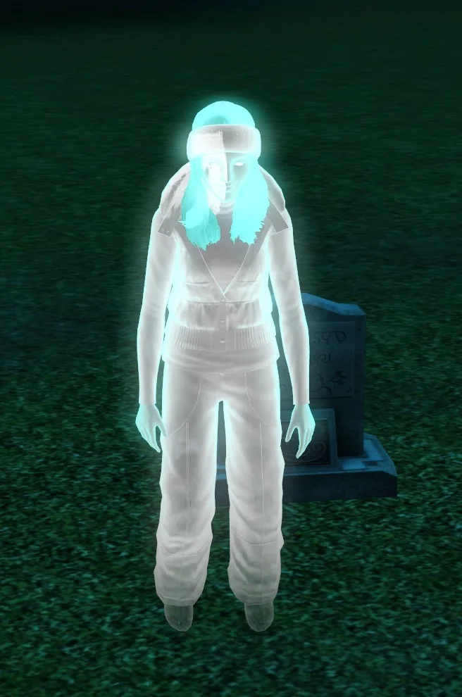 Ghost of a Sim who died by Freezing.