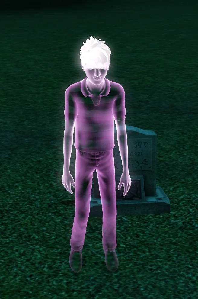 Ghost of a Sim who died by Starvation.
