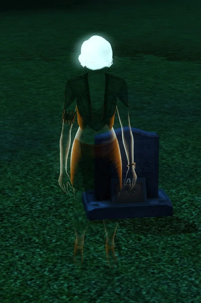 Ghost of a Sim who died by Time Anomaly.