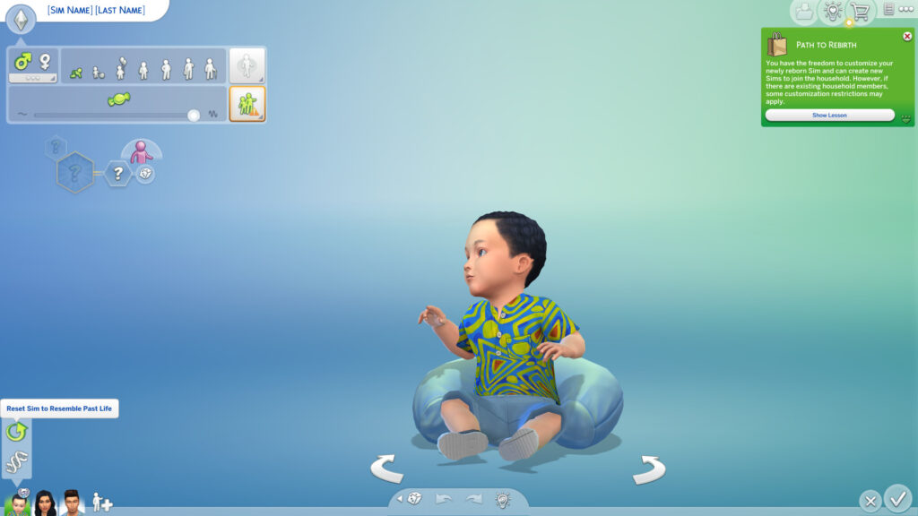 Starting the creation of the reborn Sim.